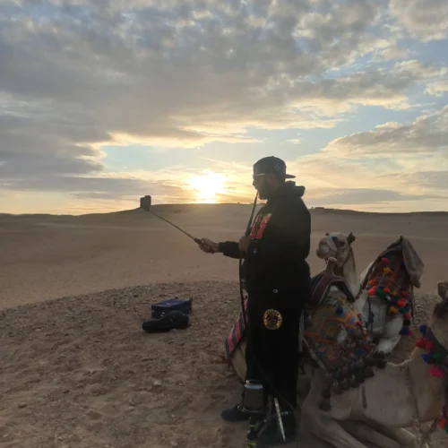Traveler with camels at golden hour on the desert dunes near Giza