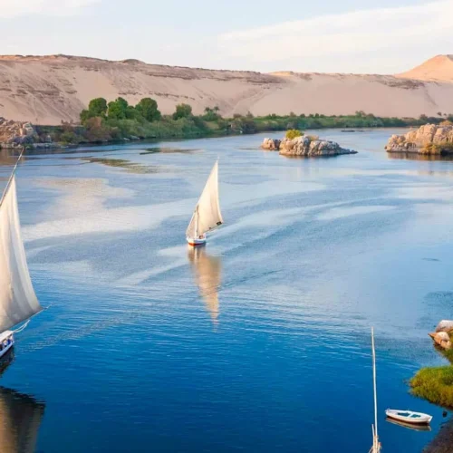 traditional wooden felucca sailboats with white sails drifting on the nile river in luxor at sunset