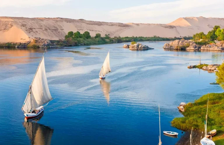 traditional wooden felucca sailboats with white sails drifting on the nile river in luxor at sunset