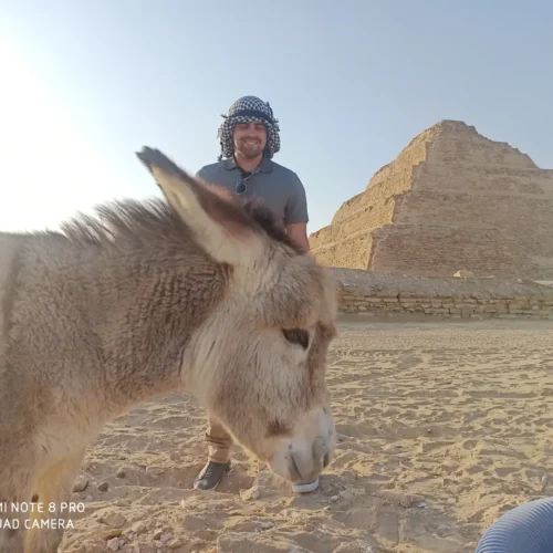 Traveler with a donkey in front of the Step Pyramid of Djoser at Saqqara
