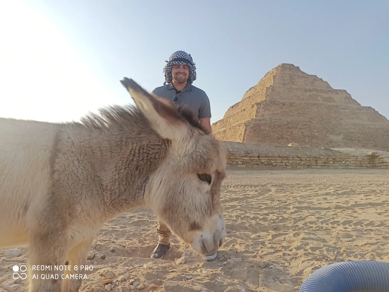 Traveler with a donkey in front of the Step Pyramid of Djoser at Saqqara