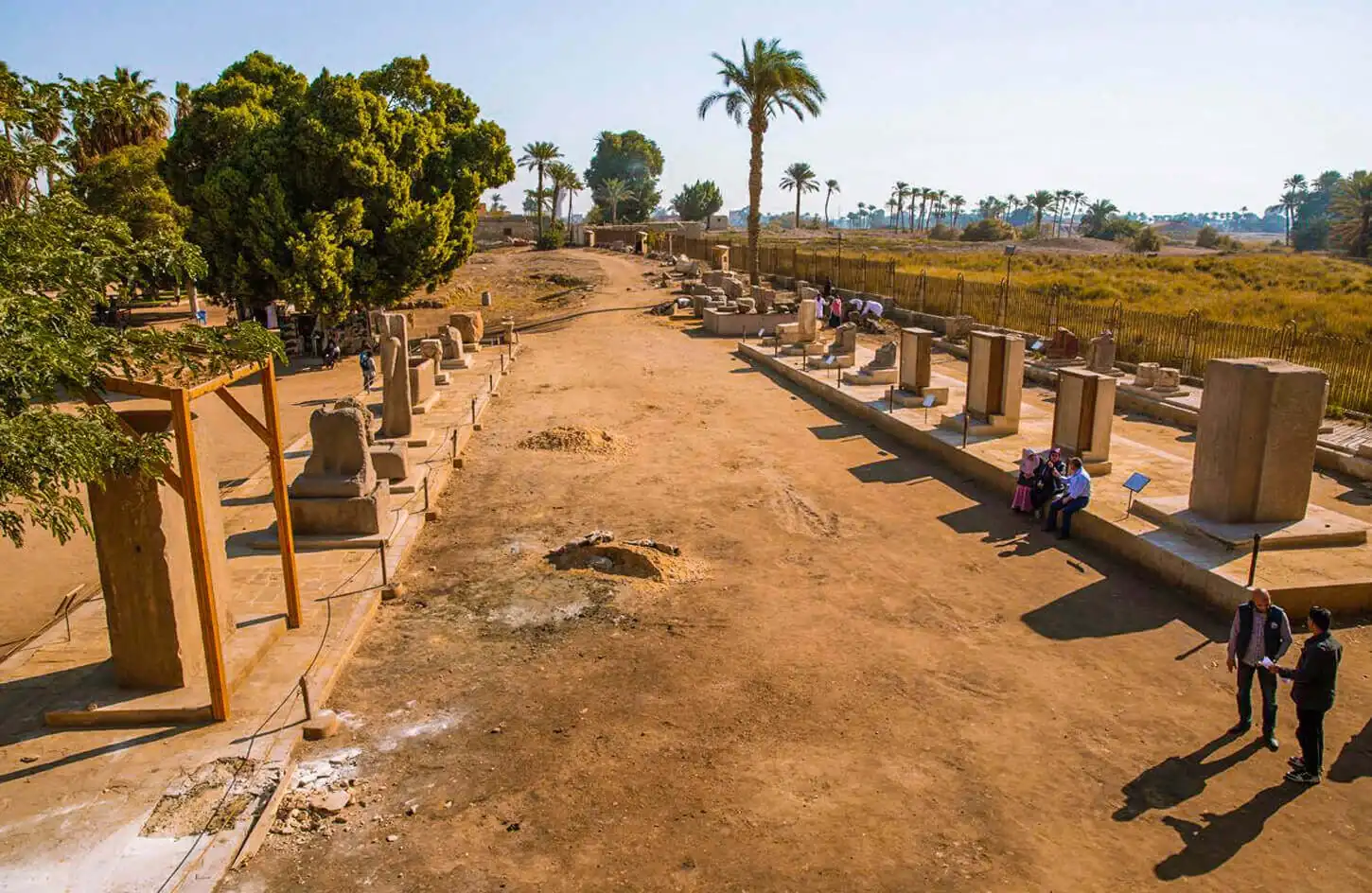 Rows of statues and columns at the open-air museum of ancient Memphis