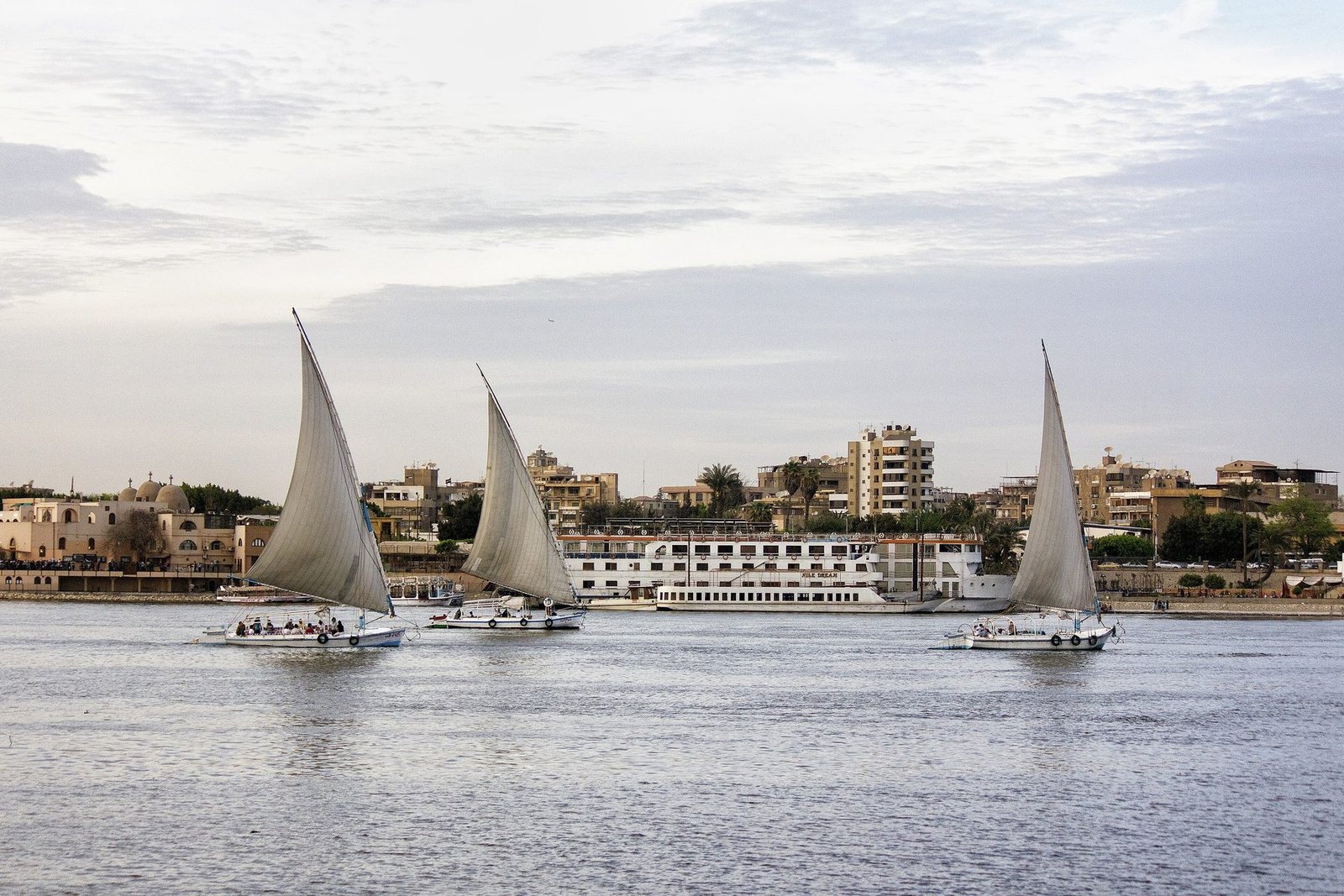 Feluccas... Egypt's Traditional Sailboats - Cairo - Egypt