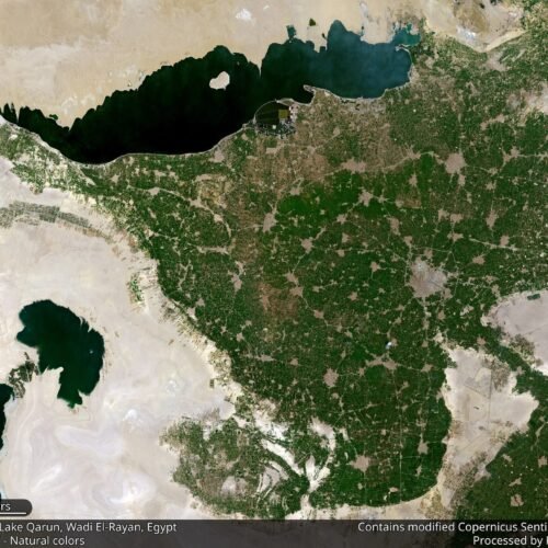 Faiyum_Oasis_S2A_432_crop_10