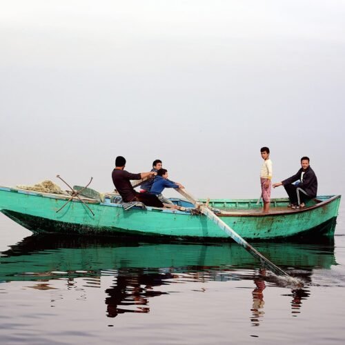 Tour of Lake Qarun - Fayoum - Egypt