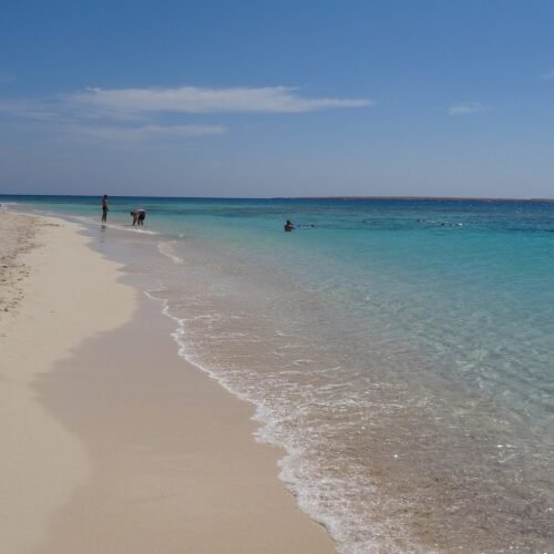 Giftun Island Egypte