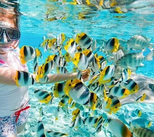 Giftun Island Egypte