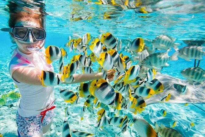 Giftun Island Egypte