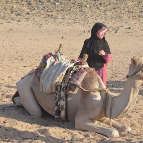 رحلات السفاري في صحراء الغردقة