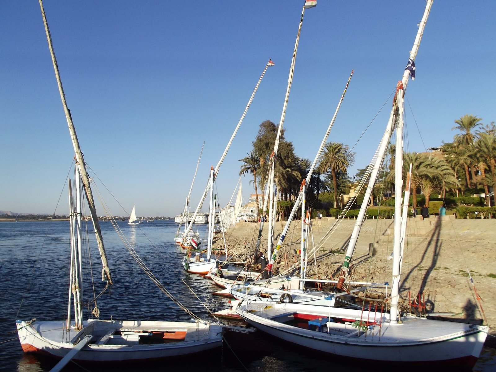 Feluccas on the Nile