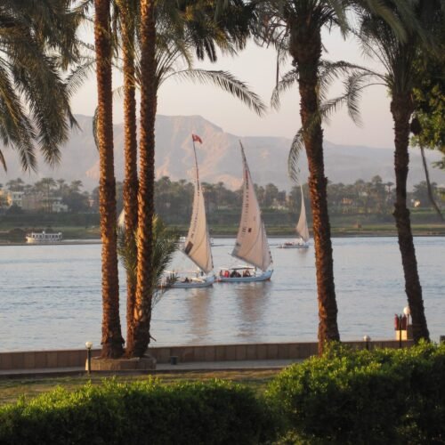 Feluccas on the River Nile from the Sheraton Hotel