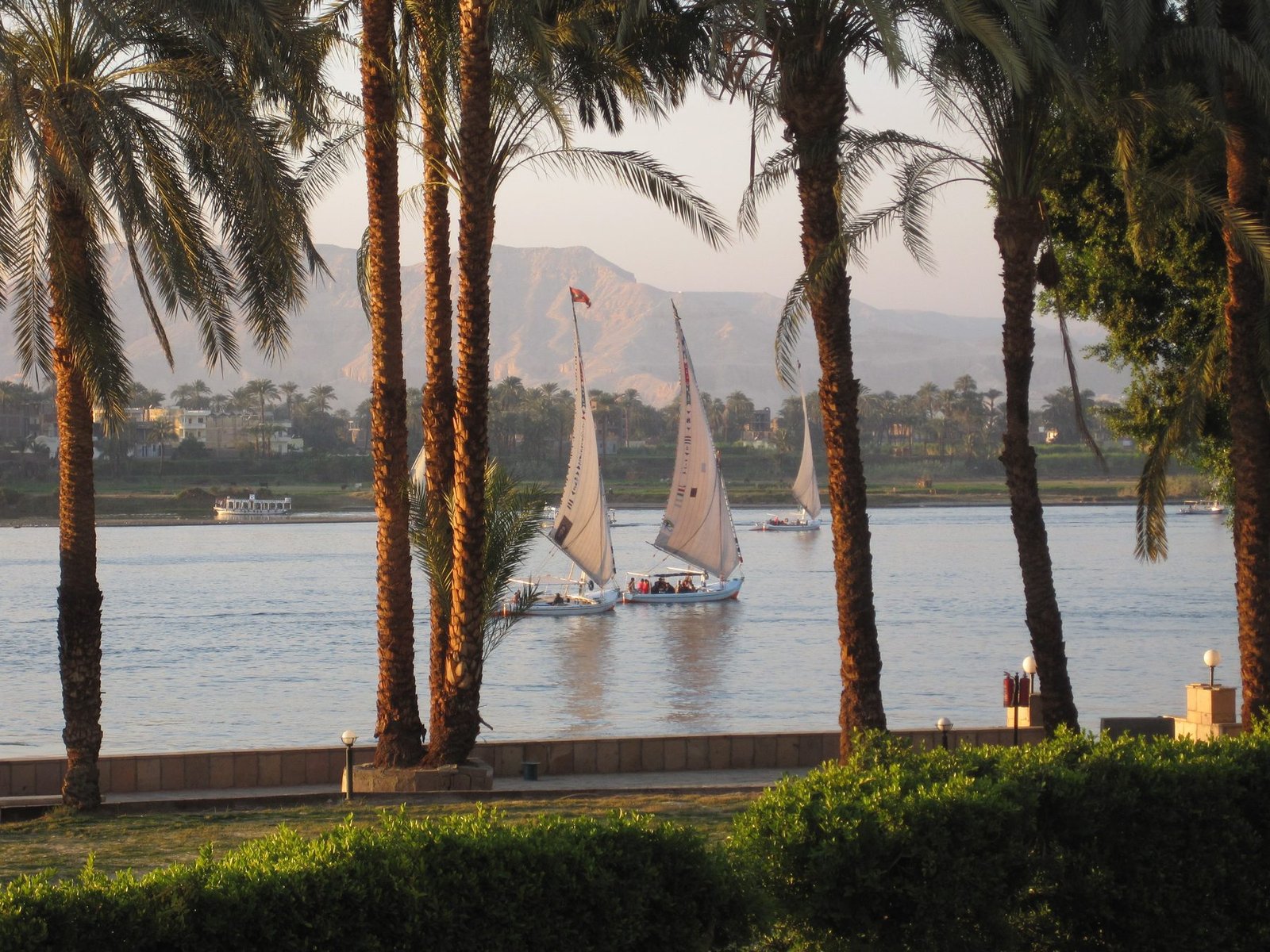 Feluccas on the River Nile from the Sheraton Hotel