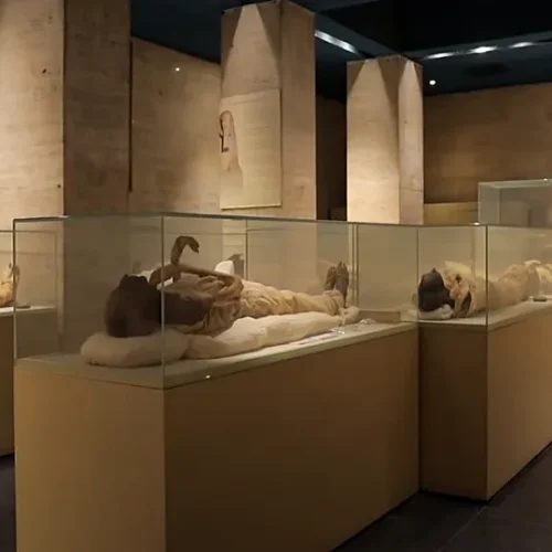 Royal Mummies Hall at NMEC with royal mummies displayed in individual glass cases under spotlights
