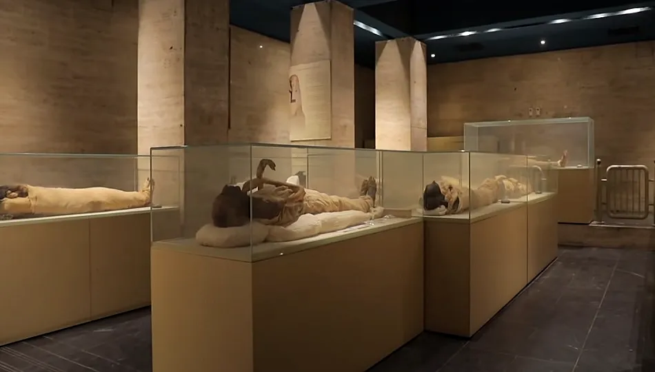 Royal Mummies Hall at NMEC with royal mummies displayed in individual glass cases under spotlights