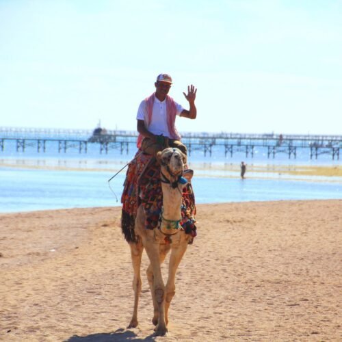 Man riding camel on the beach in Sharm El Sheikh, Egypt
