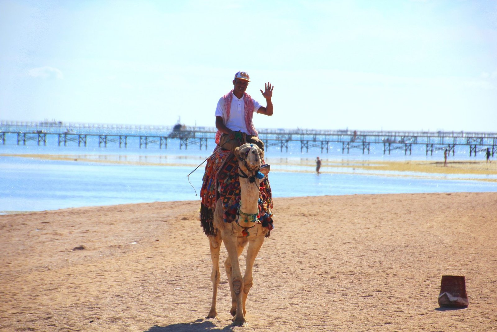 Man riding camel on the beach in Sharm El Sheikh, Egypt