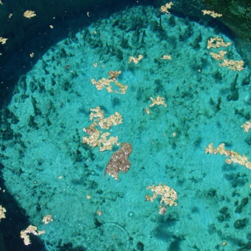 Cleopatra's Pool (Cleopatra's Bath or Cleopatra's Spring) is one of many in the area and is located on the path that leads to the Oracle Tem