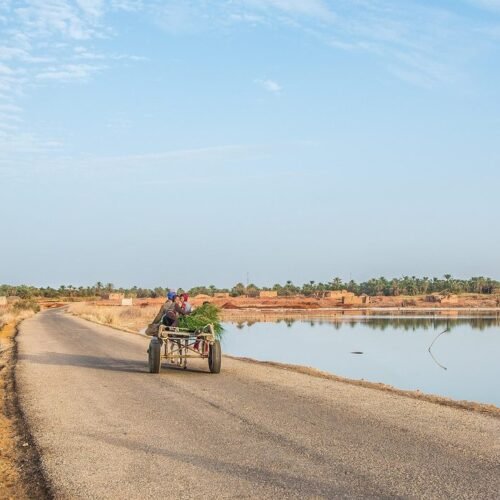 the way to siwa oasis